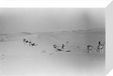 View of Wilfred Thesiger's party ...