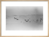 View of Wilfred Thesiger's party ...