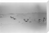 View of Wilfred Thesiger's party ...