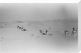 View of Wilfred Thesiger's party ...