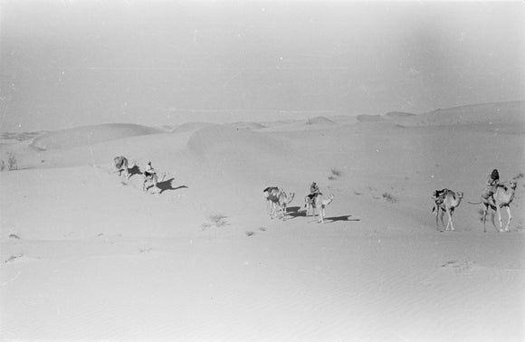 View of Wilfred Thesiger's party ...