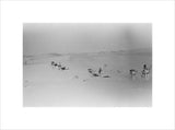 View of Wilfred Thesiger's party ...