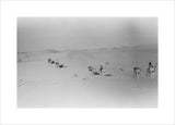 View of Wilfred Thesiger's party ...