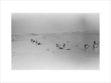 View of Wilfred Thesiger's party ...