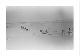 View of Wilfred Thesiger's party ...