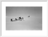 View of Wilfred Thesiger's travelling ...