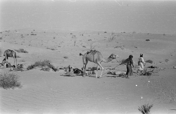 View of Wilfred Thesiger's party ...