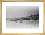 View of landscape near the ...