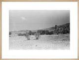 View of landscape near the ...