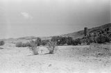 View of landscape near the ...