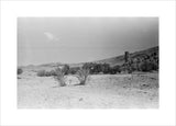 View of landscape near the ...