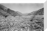 View of the Wadi Tayyah ...