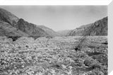 View of the Wadi Tayyah ...