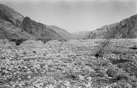 View of the Wadi Tayyah ...