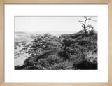 View of the southern slopes ...