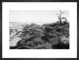 View of the southern slopes ...