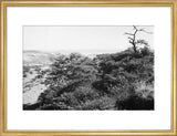 View of the southern slopes ...