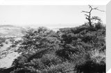 View of the southern slopes ...