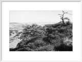 View of the southern slopes ...