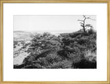 View of the southern slopes ...