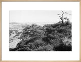 View of the southern slopes ...