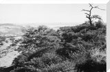 View of the southern slopes ...