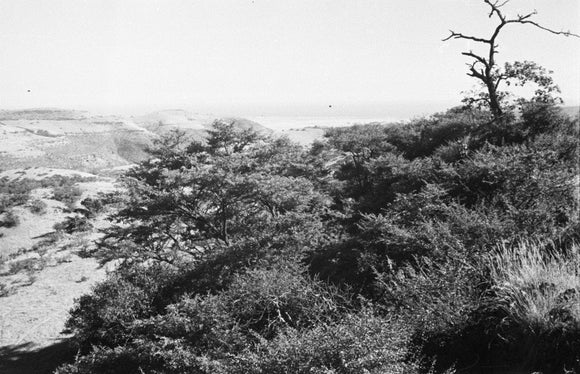View of the southern slopes ...