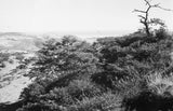 View of the southern slopes ...