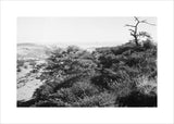 View of the southern slopes ...