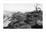 View of the southern slopes ...