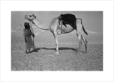 Full length portrait of Salim ...