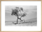 View of a Bedouin child ...