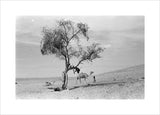 View of a Bedouin child ...