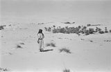 Standing full length portrait of ...