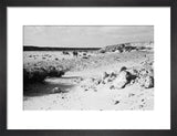 View of two members of ...
