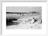View of two members of ...