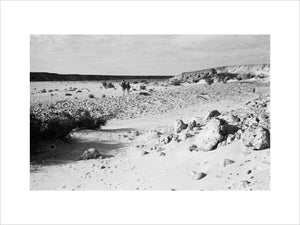 View of two members of ...