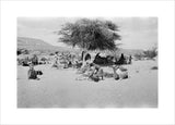 Wilfred Thesiger's party resting under ...