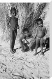 Portrait of three young boys ...