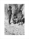 Portrait of three young boys ...