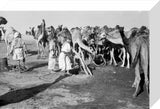 View of tribesmen of the ...