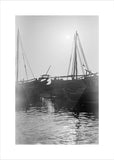 View of dhows (sailboats) moored ...
