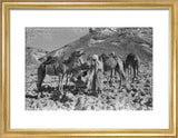 View of two Bedouin men ...