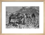 View of two Bedouin men ...
