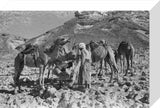 View of two Bedouin men ...