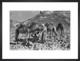 View of two Bedouin men ...