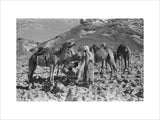 View of two Bedouin men ...