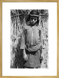 Portrait of a boy at ...