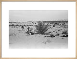 View of a member of ...