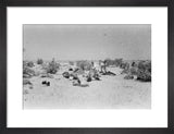 View of Wilfred Thesiger's travelling ...